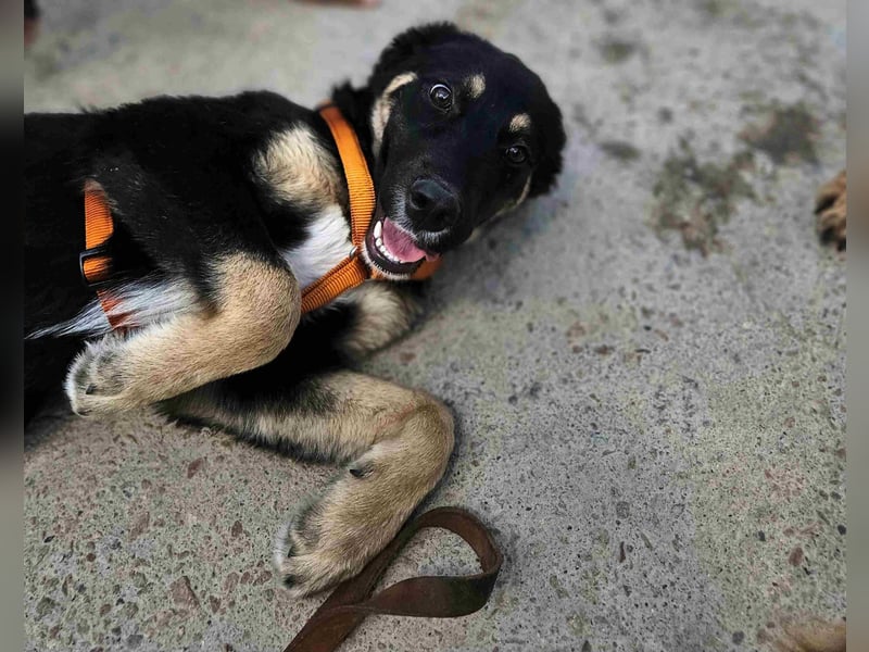 Tina: freut sich auf Besuch in Bochum