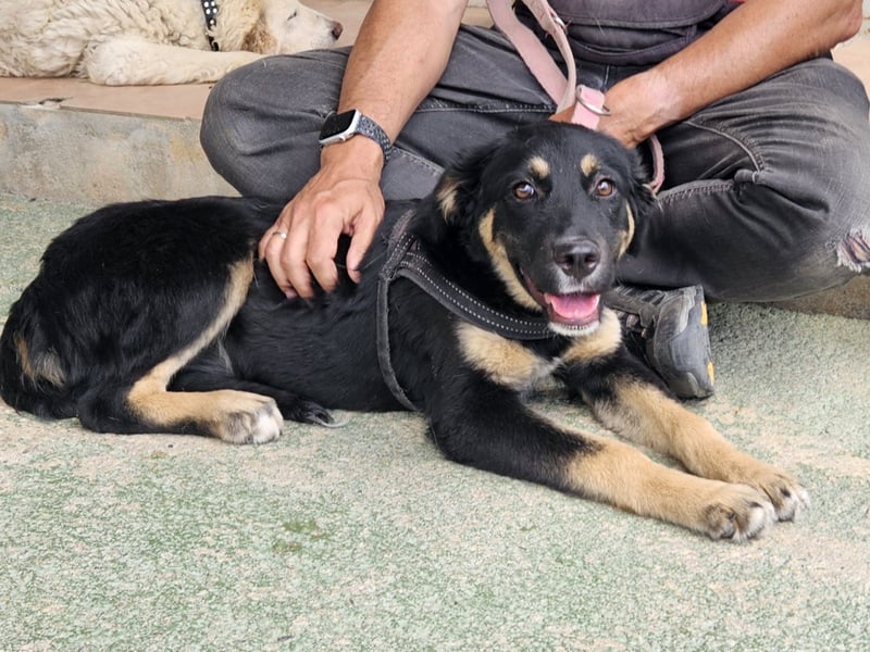 Tina: freut sich auf Besuch in Bochum