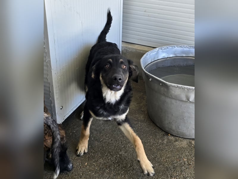 Castagniola: wann darf ich über Wiesen laufen?