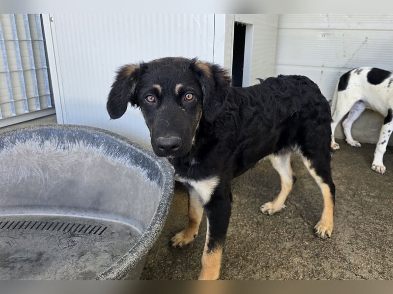 Castagniola: wann darf ich über Wiesen laufen?