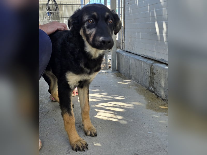 Castagniola: wann darf ich über Wiesen laufen?