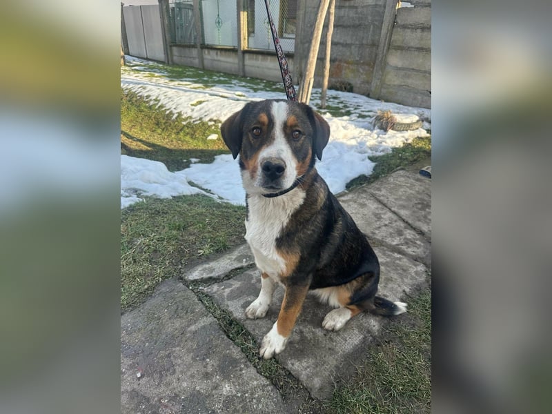 Nova, geboren 03.2025, 58cm sucht ihre Familie