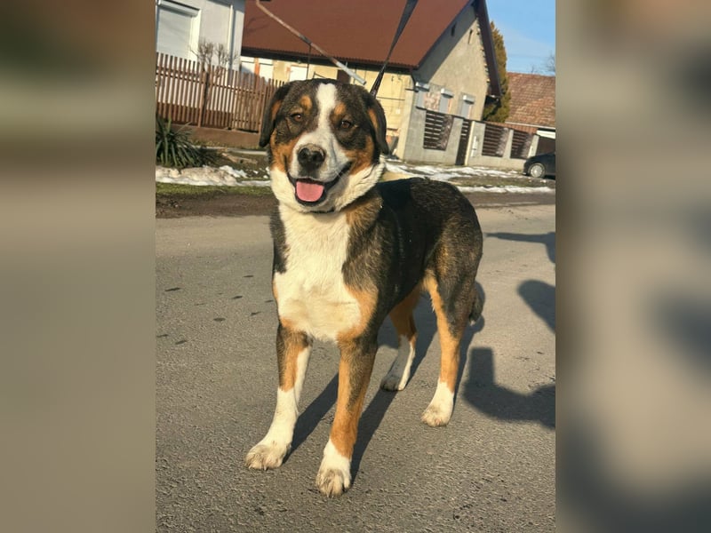 Nova, geboren 03.2025, 58cm sucht ihre Familie