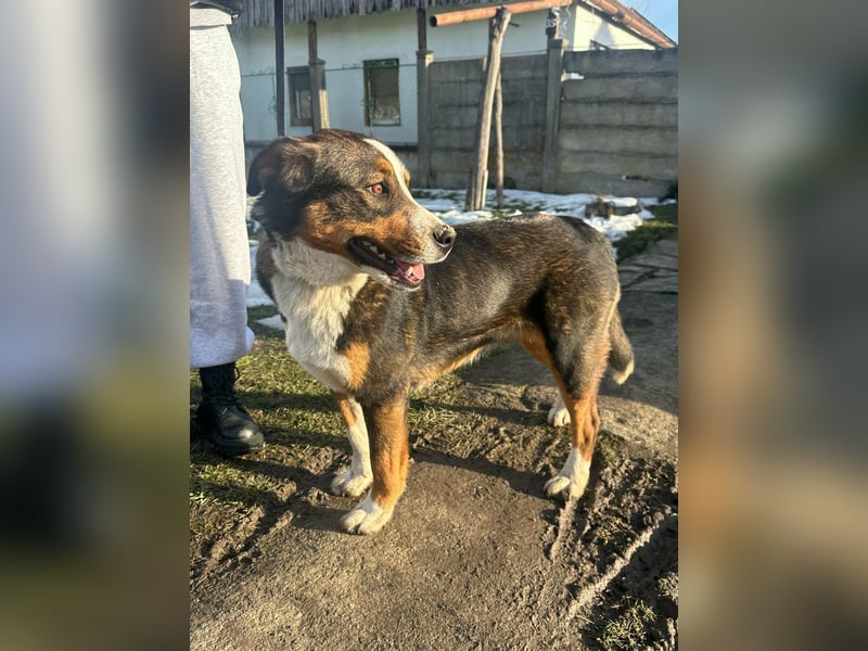 Nova, geboren 03.2025, 58cm sucht ihre Familie