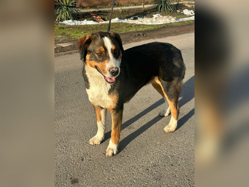 Nova, geboren 03.2025, 58cm sucht ihre Familie