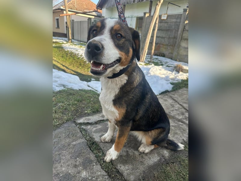 Nova, geboren 03.2025, 58cm sucht ihre Familie