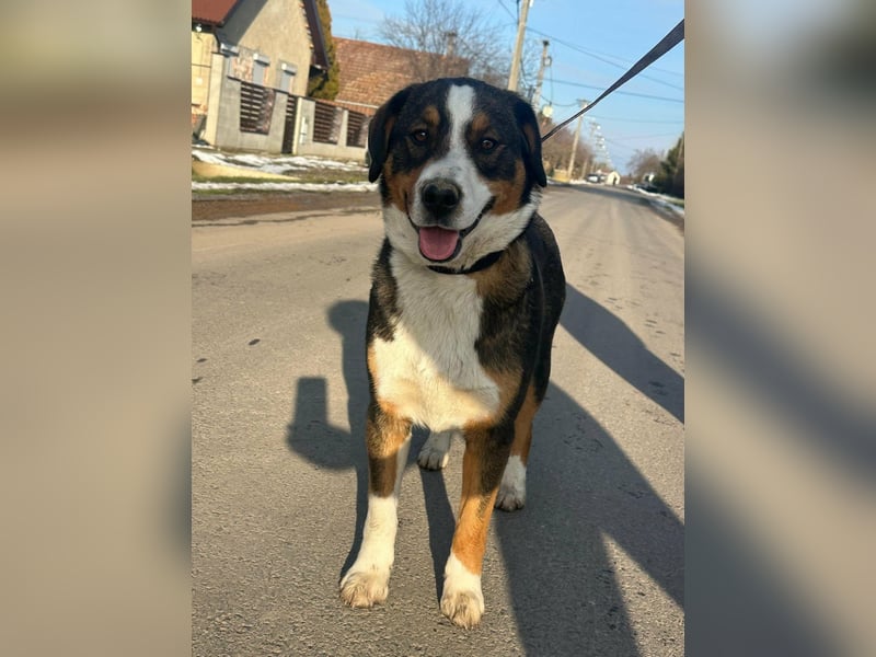 Nova, geboren 03.2025, 58cm sucht ihre Familie