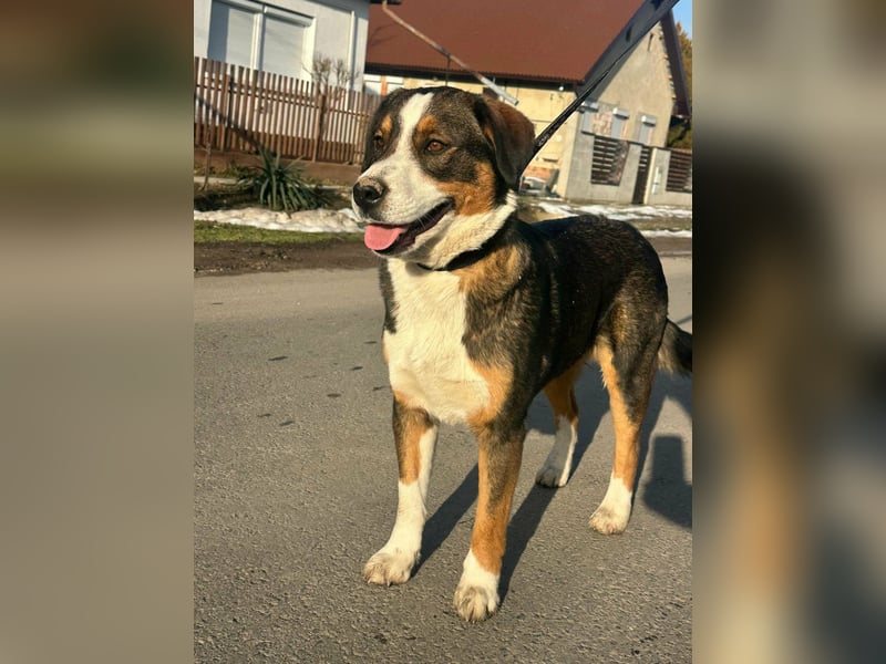 Nova, geboren 03.2025, 58cm sucht ihre Familie