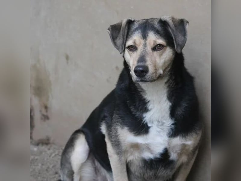 Valentin