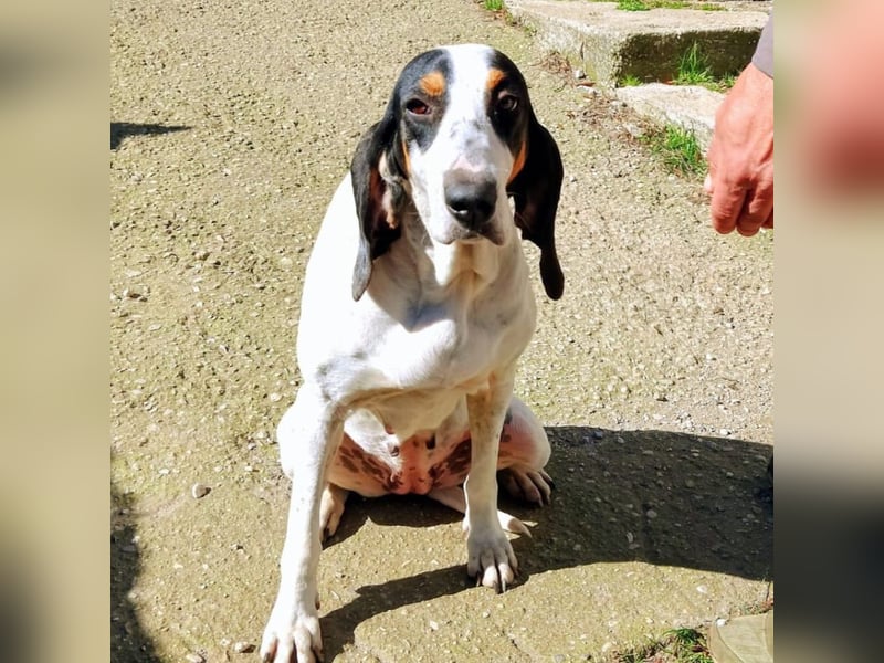 Alice - grosse Kämpferin und Sonnenschein - mit Alice gewinnt ihr eine Freundin fürs Leben