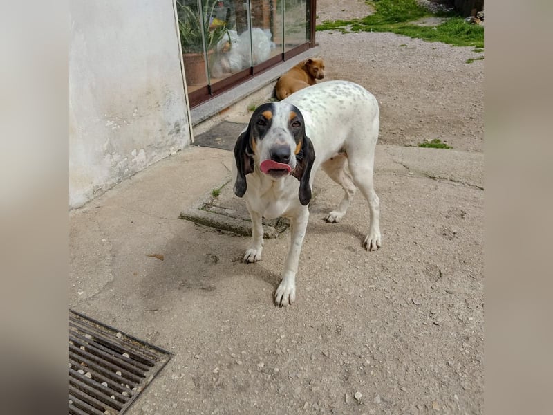 Alice - grosse Kämpferin und Sonnenschein - mit Alice gewinnt ihr eine Freundin fürs Leben