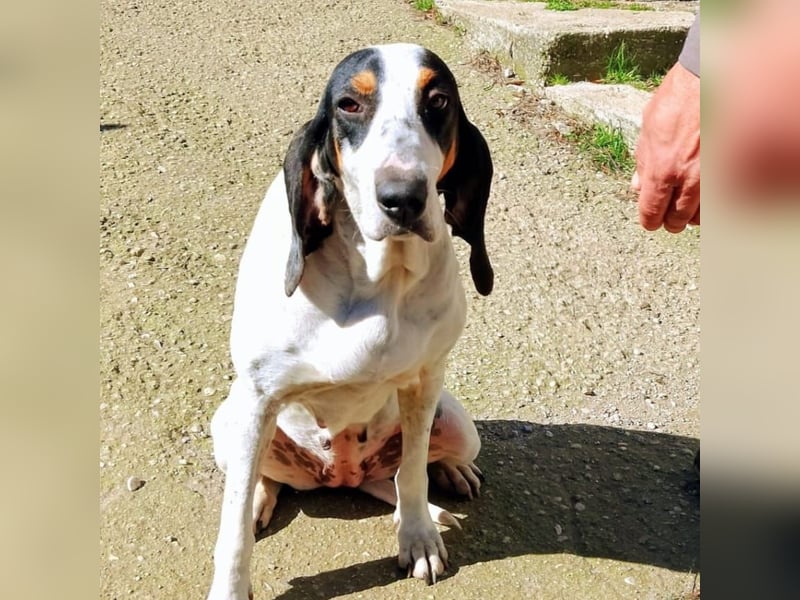 Alice - grosse Kämpferin und Sonnenschein - mit Alice gewinnt ihr eine Freundin fürs Leben