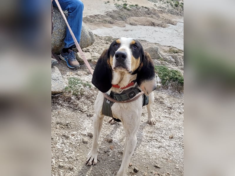 CHARLES - so lieb und ruhig