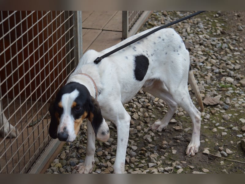 CHARLES - so lieb und nett