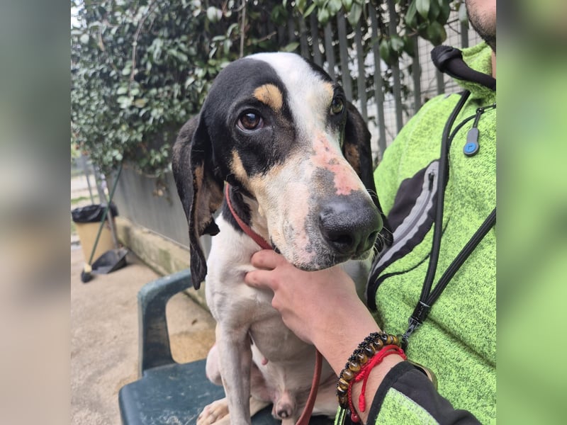 Mark - freundlicher, ausgeglichener Bub