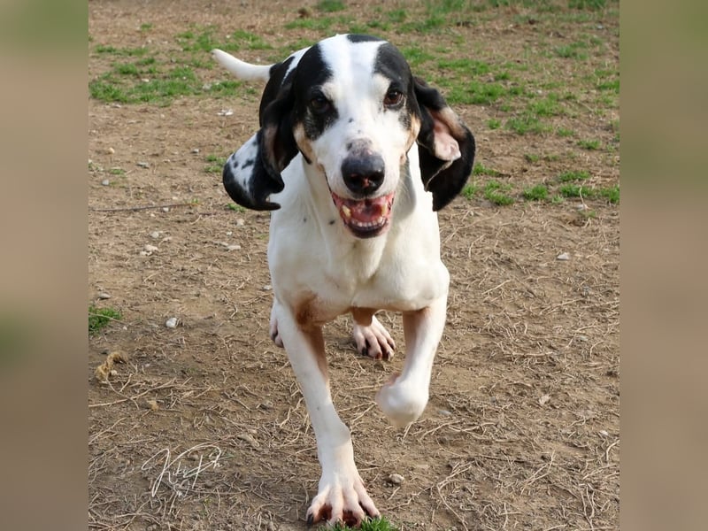 Peter - bewirbt sich als Gesangspartner! Entspannt und immer fröhlich wartet auf deinen? Anruf!