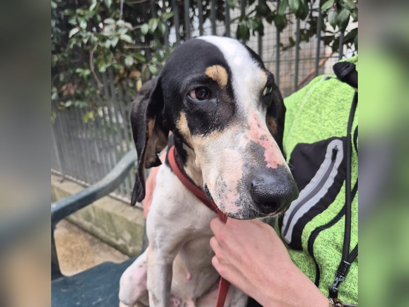 Mark - freundlicher, ausgeglichener Bub