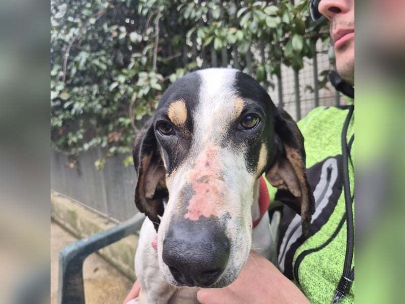 Mark - freundlicher, ausgeglichener Bub