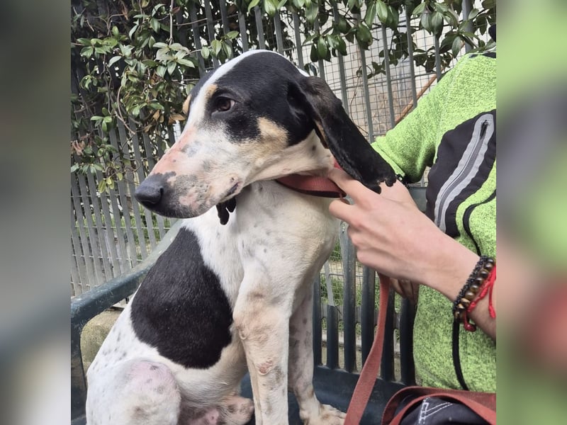 Mark - freundlicher, ausgeglichener Bub