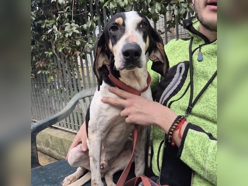 Mark - freundlicher, ausgeglichener Bub