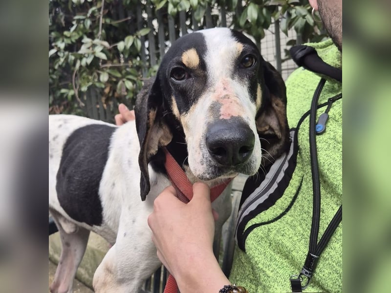 Mark - freundlicher, ausgeglichener Bub