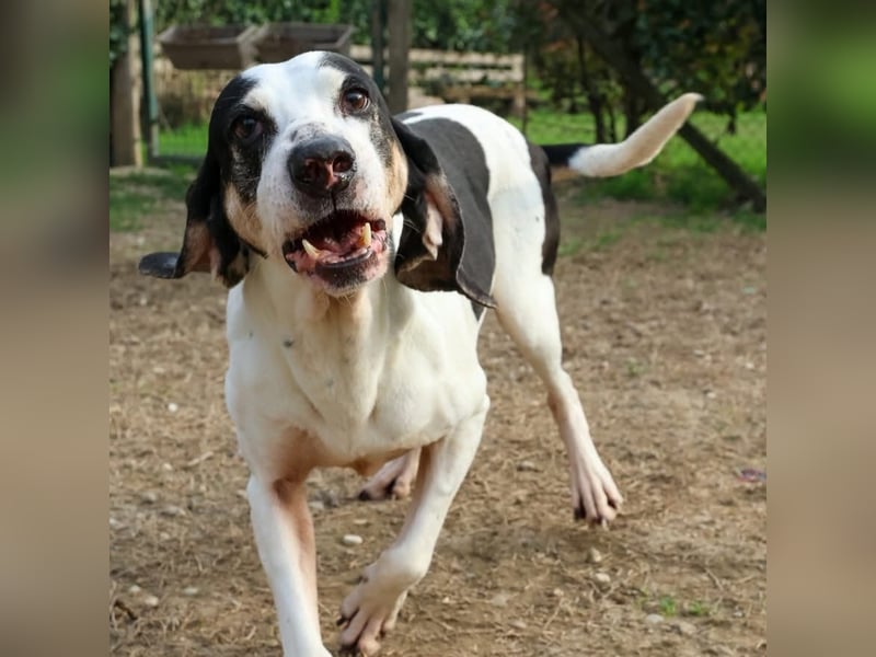 Peter - bewirbt sich als Gesangspartner! Entspannt und immer fröhlich wartet auf deinen? Anruf!