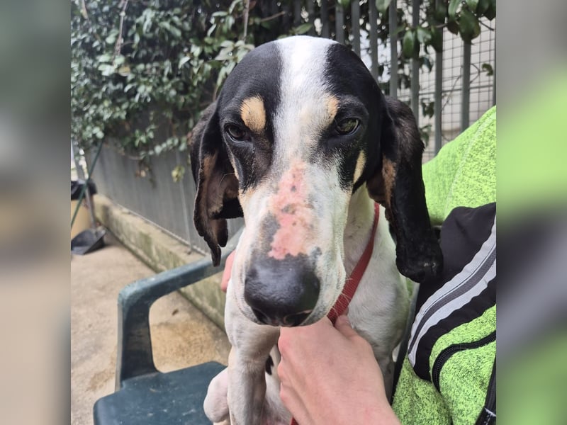 Mark - freundlicher, ausgeglichener Bub