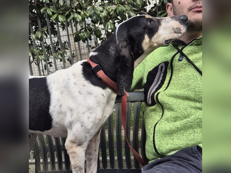 Mark - freundlicher, ausgeglichener Bub