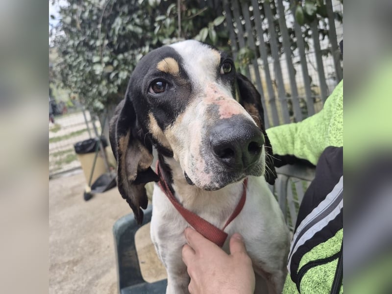 Mark - freundlicher, ausgeglichener Bub