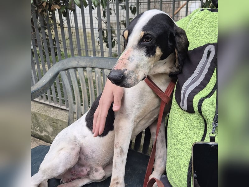 Mark - freundlicher, ausgeglichener Bub