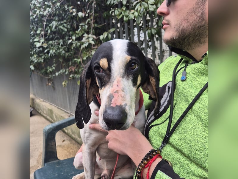 Mark - freundlicher, ausgeglichener Bub