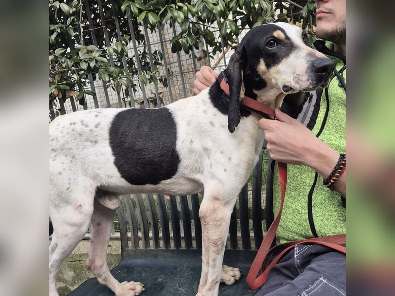 Mark - freundlicher, ausgeglichener Bub