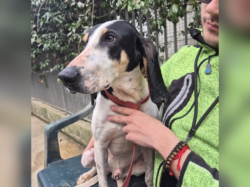 Mark - freundlicher, ausgeglichener Bub