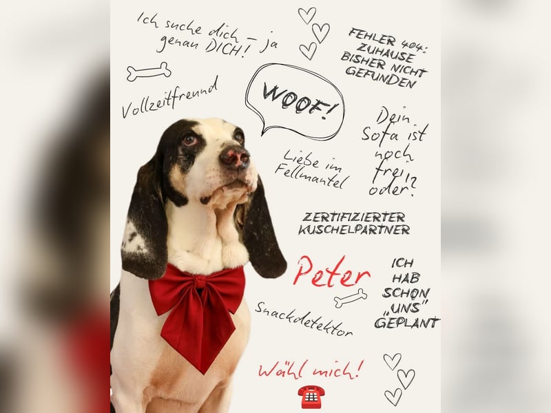 Peter - bewirbt sich als Gesangspartner! Entspannt und immer fröhlich wartet auf deinen? Anruf!