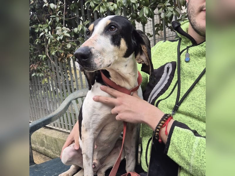 Mark - freundlicher, ausgeglichener Bub