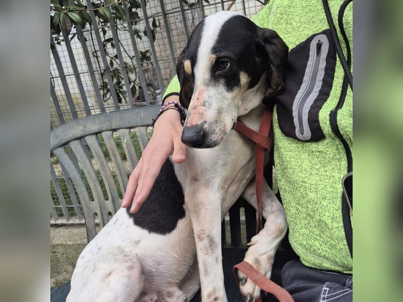 Mark - freundlicher, ausgeglichener Bub