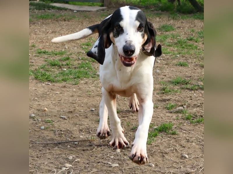 Peter - bewirbt sich als Gesangspartner! Entspannt und immer fröhlich wartet auf deinen? Anruf!