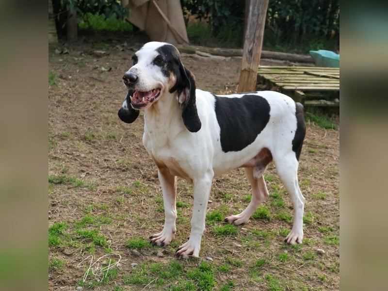 Peter - bewirbt sich als Gesangspartner! Entspannt und immer fröhlich wartet auf deinen? Anruf!