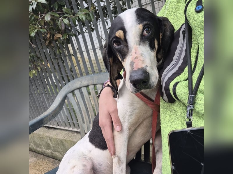 Mark - freundlicher, ausgeglichener Bub