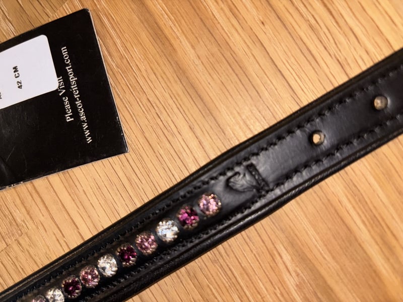 Ascot Lederhalsband Neu