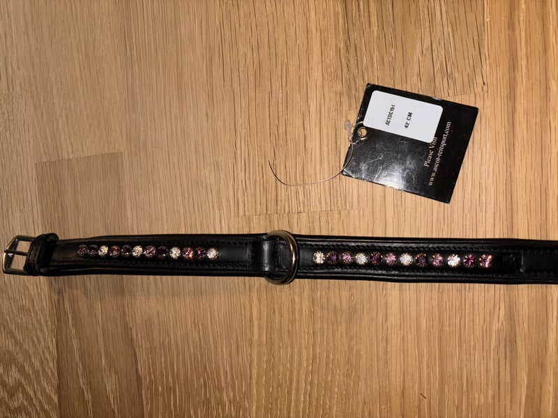 Ascot Lederhalsband Neu