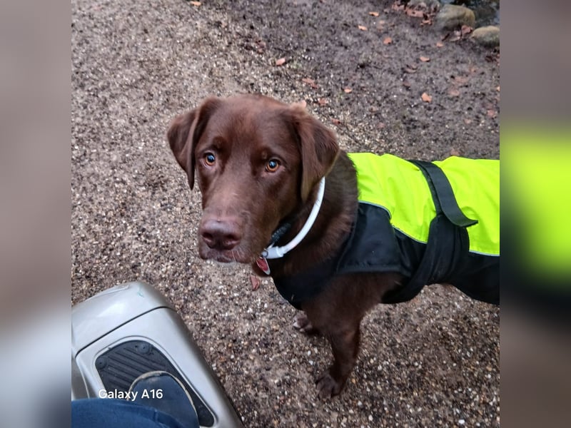 Charlie sucht seinen Menschen