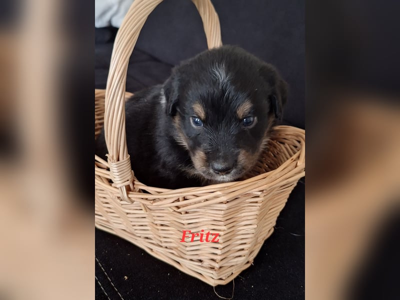 Sie sind endlich da 4 Mädels und 5 Jungs