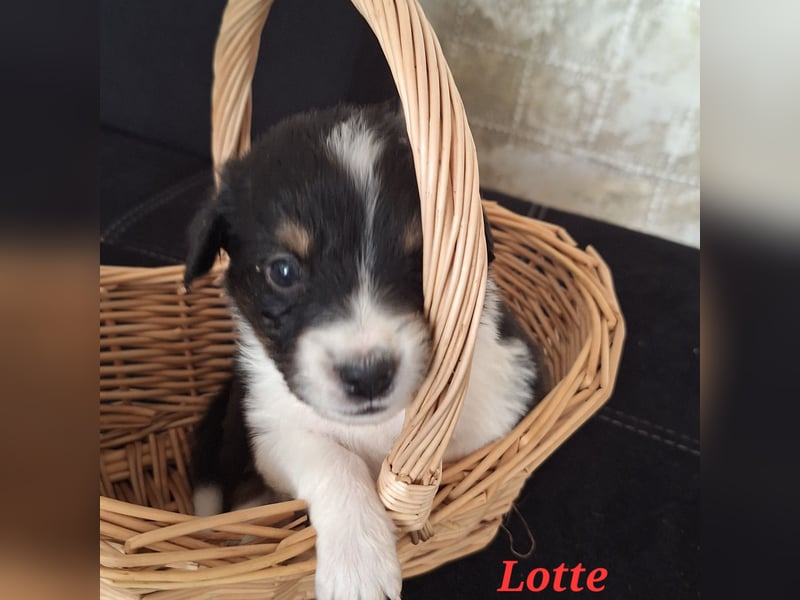 Sie sind endlich da 4 Mädels und 5 Jungs