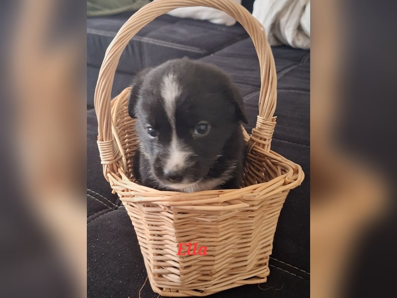 Sie sind endlich da 4 Mädels und 5 Jungs