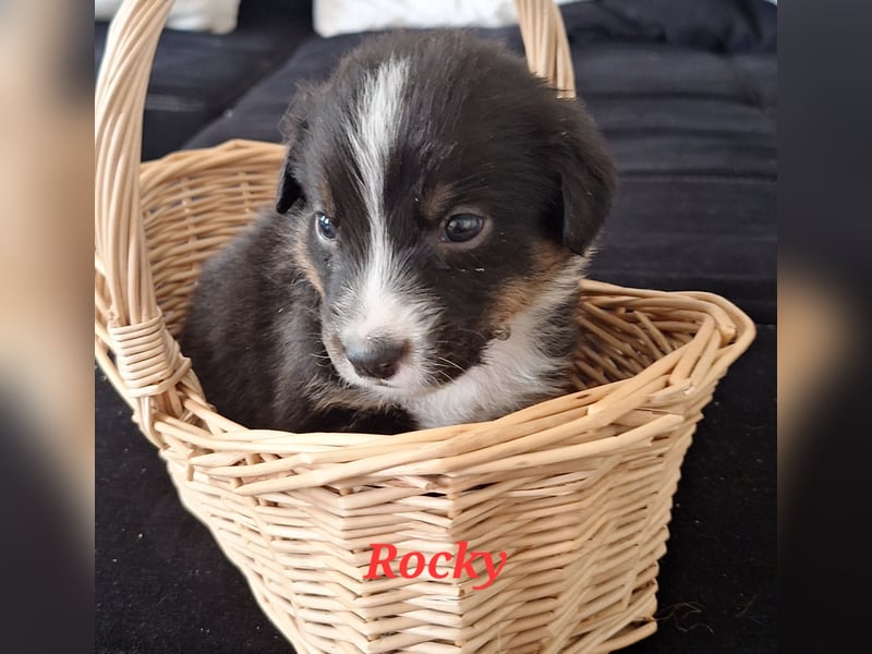 Sie sind endlich da 4 Mädels und 5 Jungs
