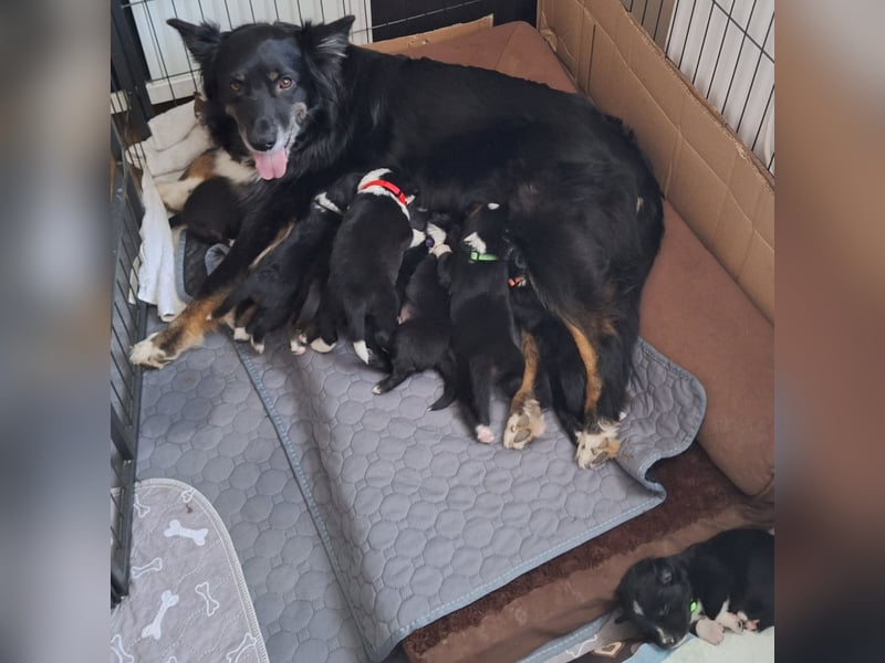 Sie sind endlich da 4 Mädels und 5 Jungs
