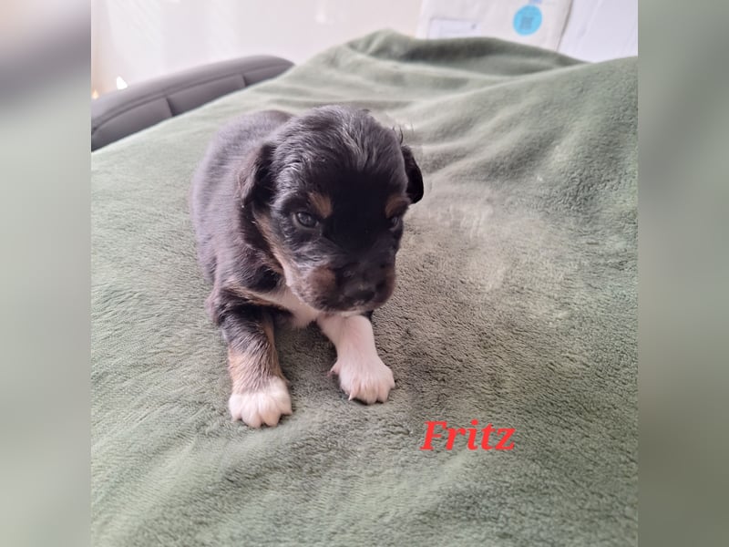 Sie sind endlich da 4 Mädels und 5 Jungs