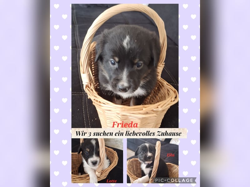 Sie sind endlich da 4 Mädels und 5 Jungs