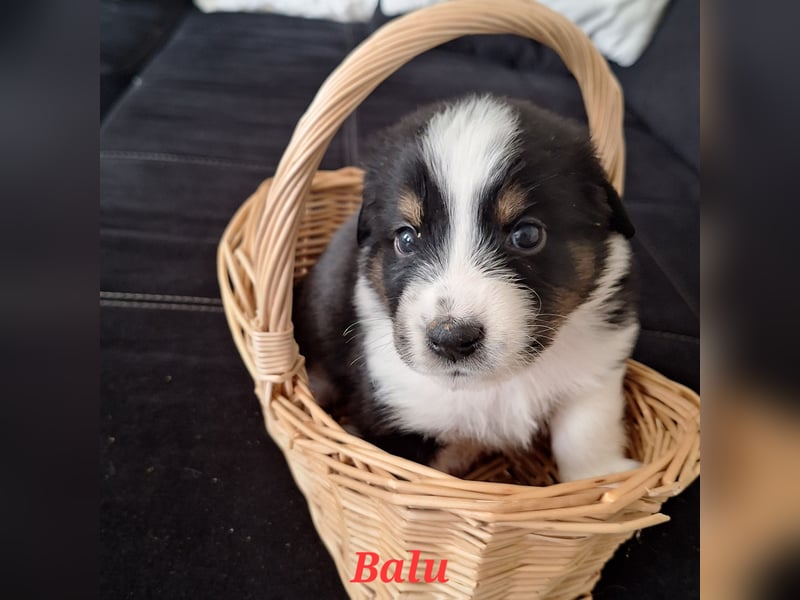 Sie sind endlich da 4 Mädels und 5 Jungs